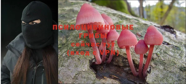 2c-b Рославль
